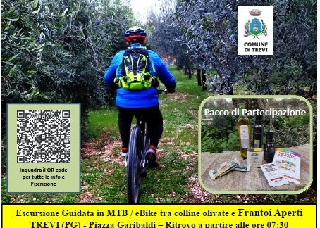 1^GRANFONDO DELLA FASCIA OLIVATA – PUBBLICATE ALTIMETRIA E TRACCIATO